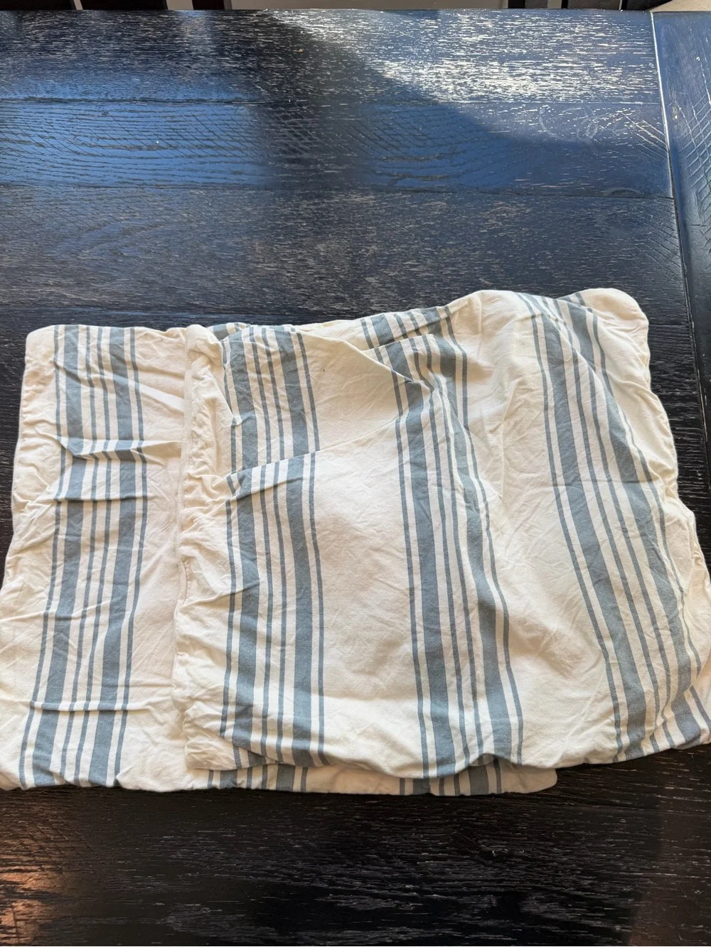 Pottery Barn Blue and Cream Striped Pillow Shams
